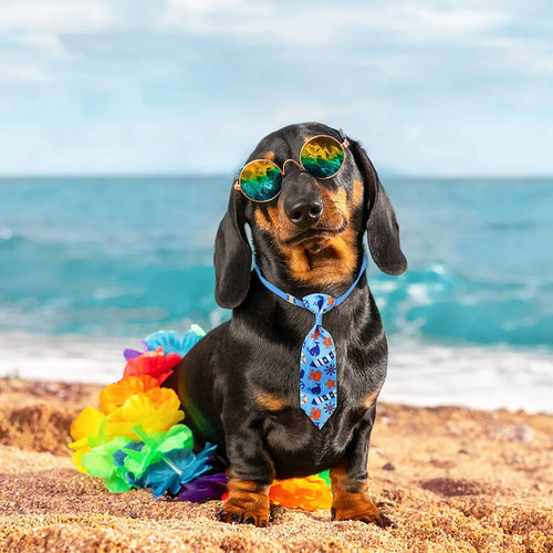 50pcs Small Dog Neckties Pet Grooming Summer Pet Dog Puppy Bowtie Pets Tie  For Dogs Pets Grooming Accessories